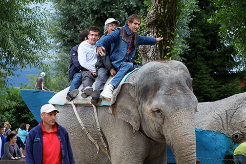 Drei Männer reiten auf einem Elefanten im Kinderzoo Rapperswil