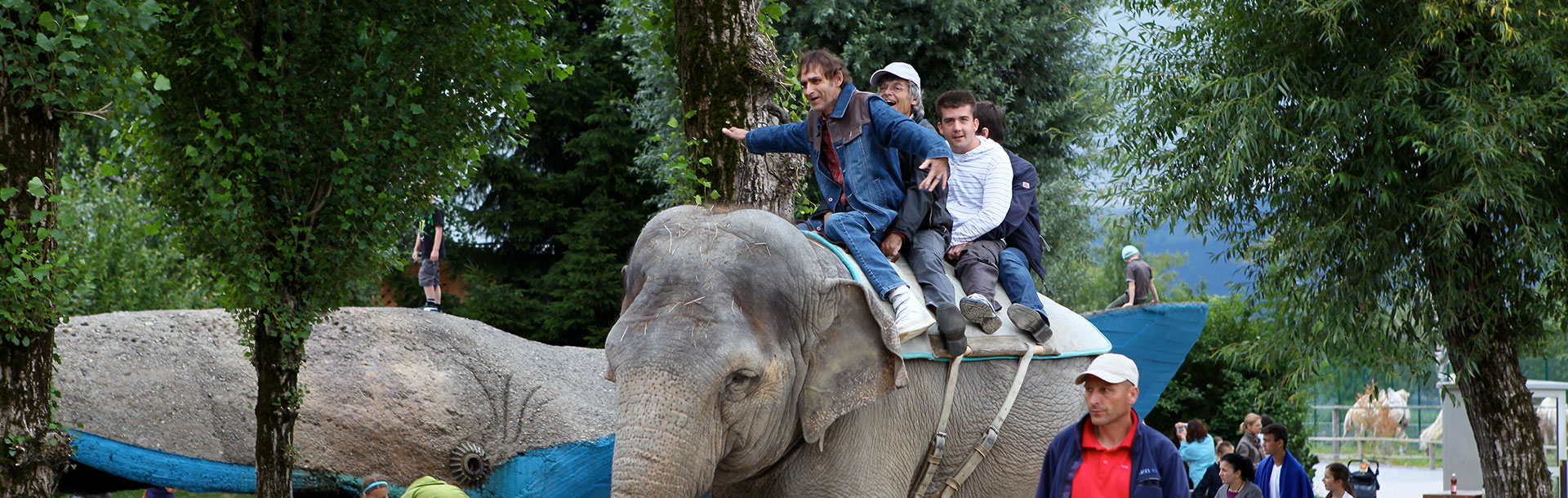 Bewohner reiten auf einem Elefanten im Zoo in Rapperswil